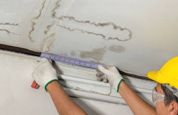 Reliable Water Damage Repair contractor in Wolf Creek, UT by Hirex Water Damage